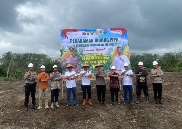 Kolaborasi dengan Polri, PalmCo Optimalkan Lahan Replanting Sawit untuk Tanam Jagung