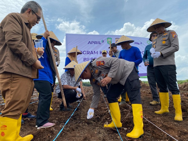 Penanaman jagung perdana di area Hutan Kemasyarakatan (HKm) Mandiri Sejahtera, Kampung Dayun, Kabupaten Siak, guna meningkatkan ketahanan pangan dan mendukung Program Nasional Asta Cita.