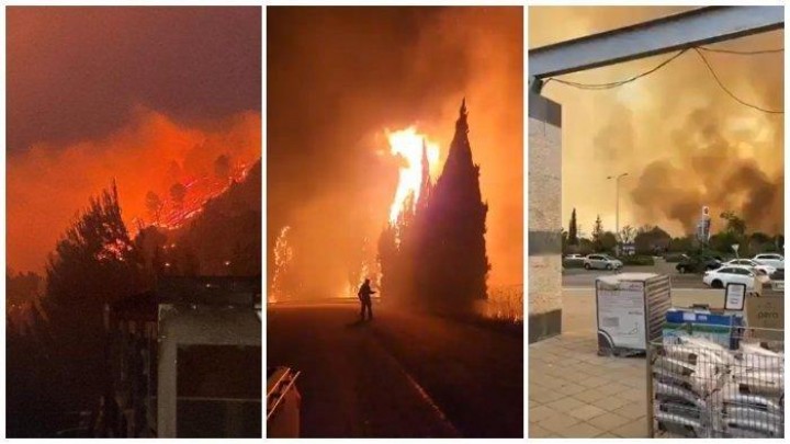 Fakta Mengejutkan Kebakaran Hutan yang Menimpa Israel, Diketahui Hingga Kini Api Masih Menyala.