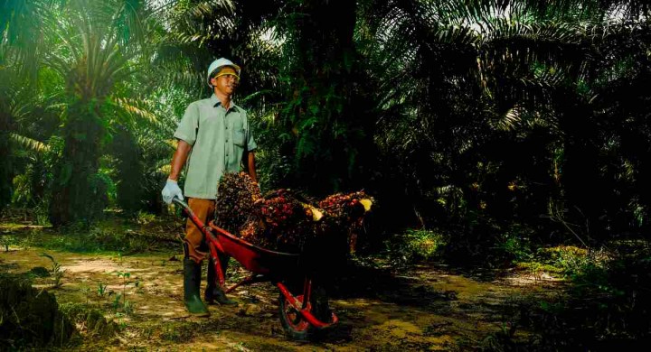 Karyawan Lubuk Dalam PTPN IV Regional III Bantah Pemaksaan Kerja di Hari Libur