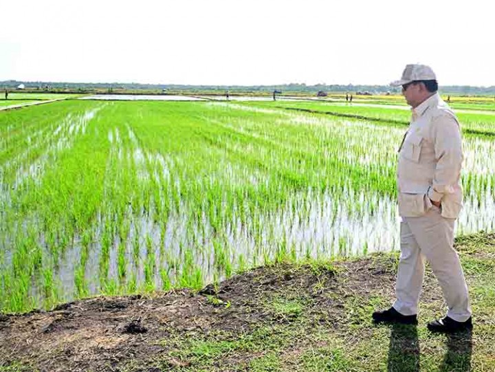 Prabowo Disebut Tak Pernah Mau Jadi Boneka Jokowi