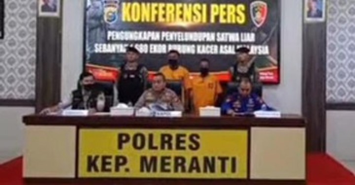 Ribuan Burung Kacer Gagal Diselundupkan, Polres Meranti Tangkap Dua Tersangka