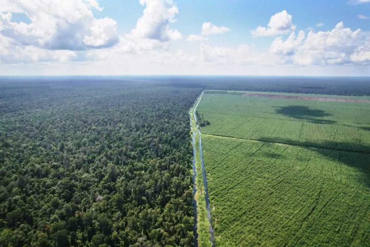 Ekonomi Hijau Menjadi Solusi di Tengah Ancaman Polusi Global