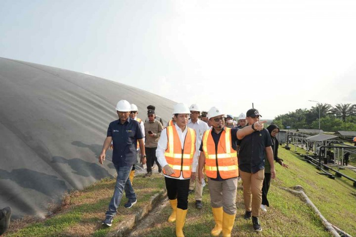 Pemerintah Minta Gapki Dorong Perusahaan Sawit Tiru PTPN IV PalmCo Perkuat Dekarbonisasi