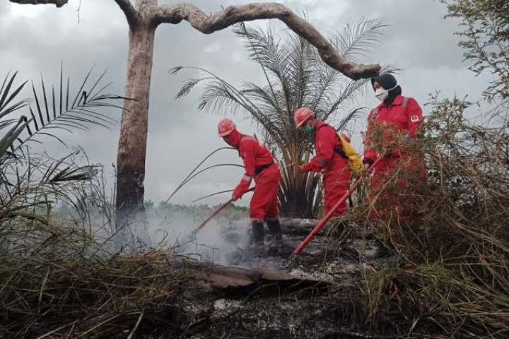 BMKG Catat 69 Titik Panas di Sumatera, Riau Waspada Karhutla