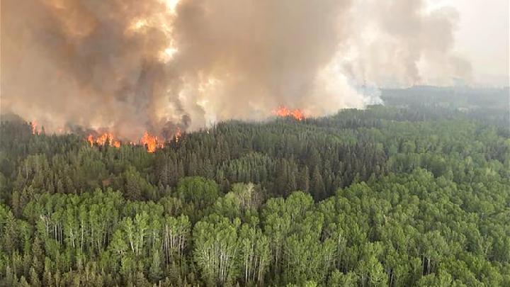 Kanada Darurat Kebakaran Hutan! 17.000 Orang Dievakuasi