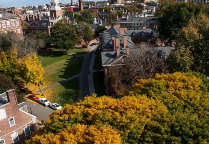 Universitas Harvard /net