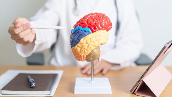 Neurolog Ungkap Makanan-Minuman Ini Dapat Tingkatkan Kesehatan Otak