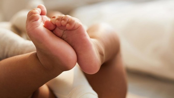 Umur 2 Tahun Sudah Kenal Kode Morse-Tabel Periodik, Bayi Jenius Ini Diakui Punya IQ Tinggi