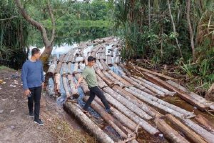 Polisi Bongkar Illegal Logging di Kepulauan Meranti, 20 Ton Kayu Disita 