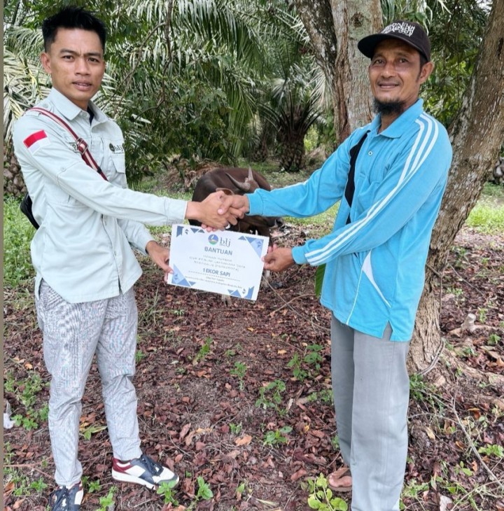 11 Kecamatan Dapatkan Satu Ekor Sapi Dari PT BLJ Kabupaten Bengkalis