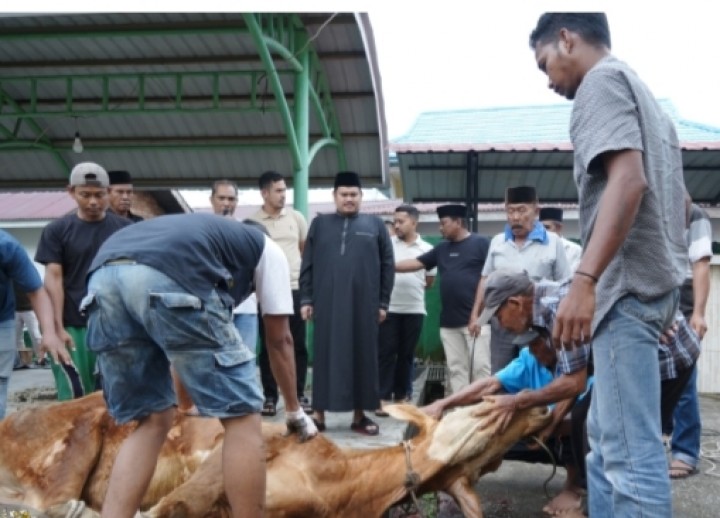 Masjid Al Mubarok Senggoro Bengkalis Sembelih 8 Ekor Hewan Kurban