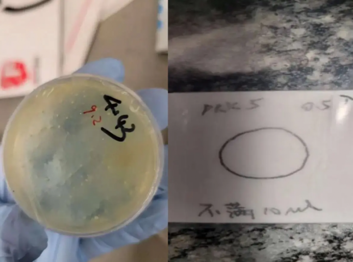 Warga Negara China Lainnya Ditangkap Karena Menyelundupkan Bahan Biologis ke AS