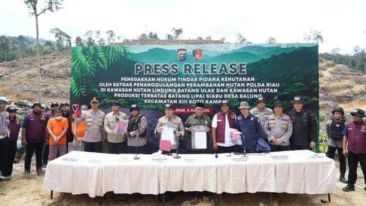 Empat Pelaku Perambahan Hutan Lindung Batang Ulak Ditangkap, Gubri Dukung Polda Riau 