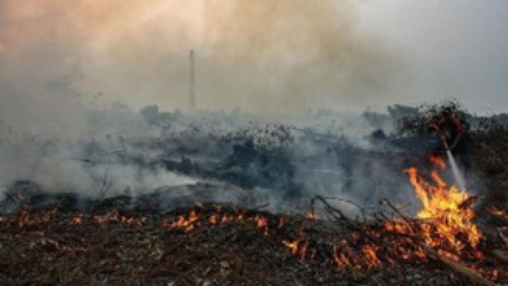 Pekanbaru Tetapkan Status Siaga Darurat Karhutla, Warga Diminta Tidak Bakar Lahan
