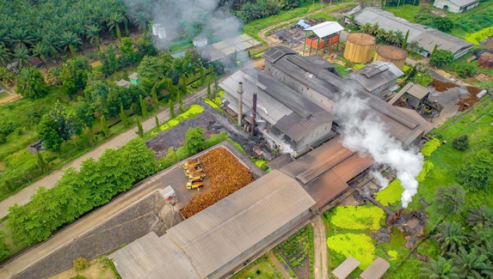 Ini Langkah PalmCo Perkuat Peran Strategis Jaga Ketahanan Pangan Nasional