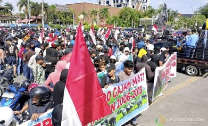 Aliansi Masyarakat Penyelamatan Gajah Gelar Aksi Dukung Satgas Relokasi Warga dari TNTN