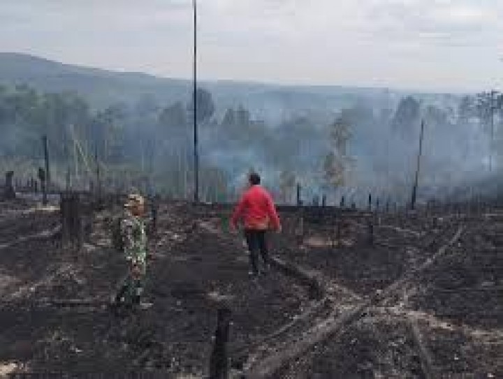 Kebakaran Hutan di Bukit Suligi Belum Terkendali, 60 Hektare Lahan Terbakar