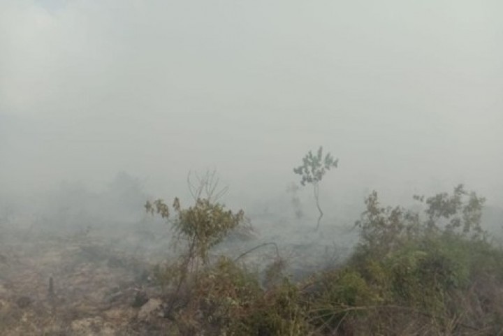 Kebakaran Lahan di Kampar Meluas, Pemadaman Terkendala Medan dan Kedalaman Gambut