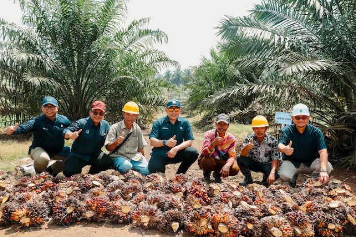 PTPN IV Regional III Jadi Pilot Project Wujudkan Produktivitas 7 Ton CPO