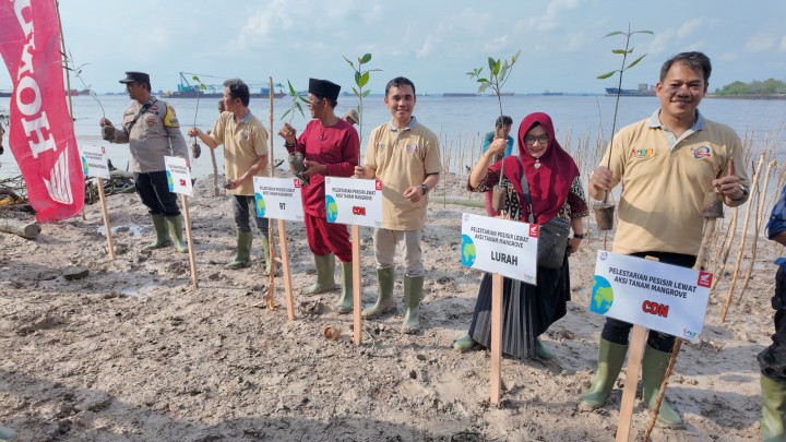 Capella Honda Tanam 1500 Batang Mangrove di Pelabuhan Dumai Bentuk  Sinergi Bagi Negeri