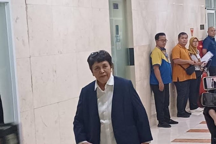 Adik Luhut Jadi Calon Dubes RI untuk Jepang, Ini Profilnya