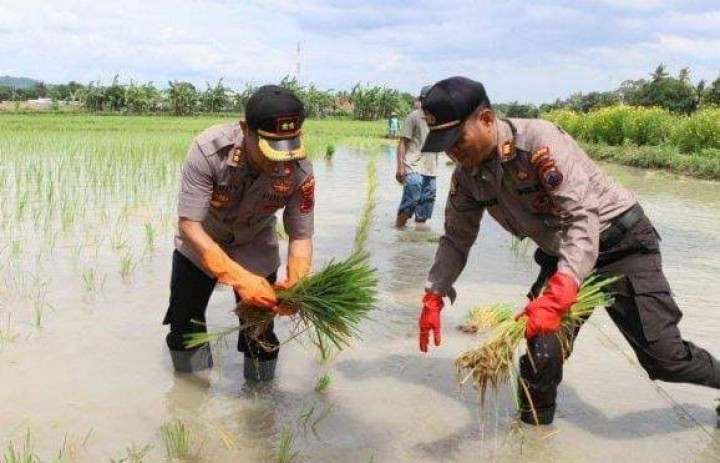 Peran Polisi Wujudkan Swasembada Pangan