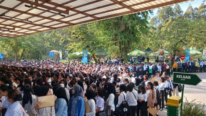 Sinyal Kuat! Indonesia Alami Krisis Lapangan Kerja 