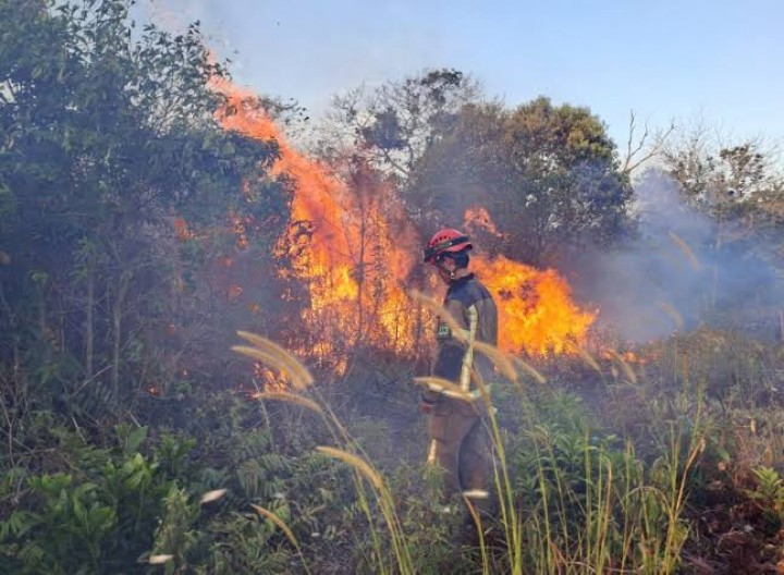 Kabut Asap Riau Ancam Malaysia, Titik Panas Meningkat Tajam