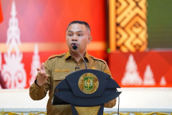 Riau Tetapkan Darurat Bencana Karhutla, 213 Hektare Lahan Hangus Terbakar