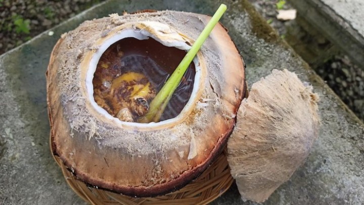 Khasiat Kelapa Bakar untuk Tubuh, Tak Banyak yang Tahu