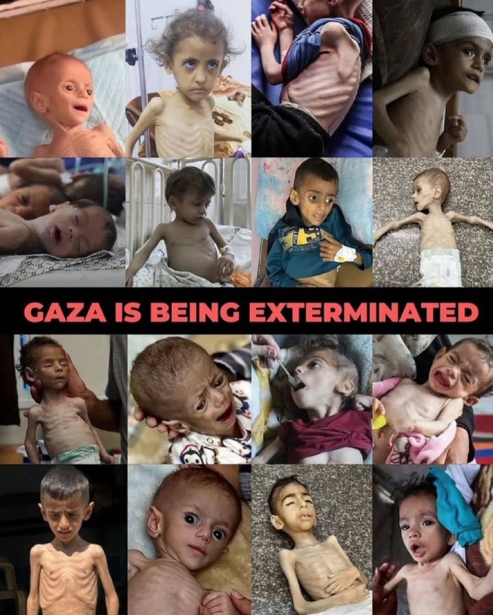 Jumlah Korbn Tewas Gaza Tembus 60.000 Jiwa Akibat Kebiadaban Israel Selama Genosida