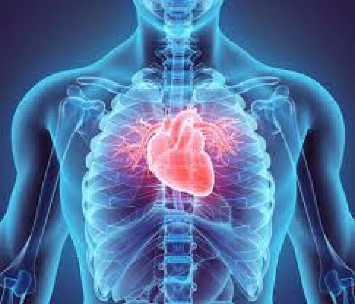 Tahukah Anda, Inilah Organ Tubuh yang Paling Cepat Menua