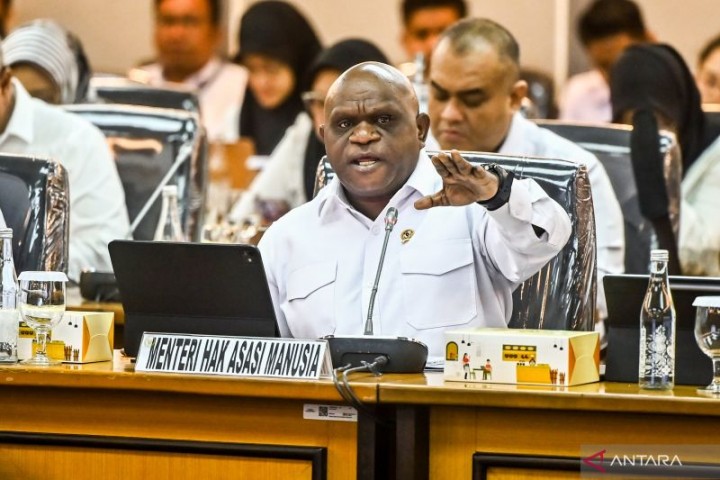 Menteri HAM soal Fenomena Pengibaran Bendera 'Tengkorak' One Piece: Negara Bisa Melarang
