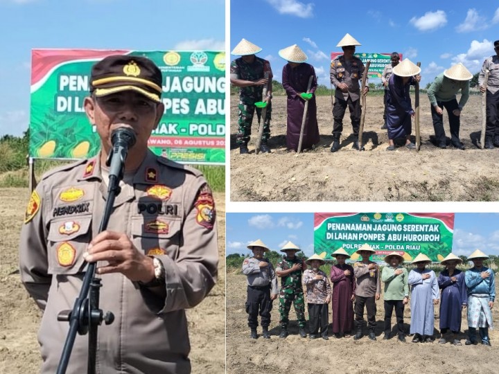 Polsek Tualang Gandeng Ponpes Tanam Jagung, Dukung  Asta Cita
