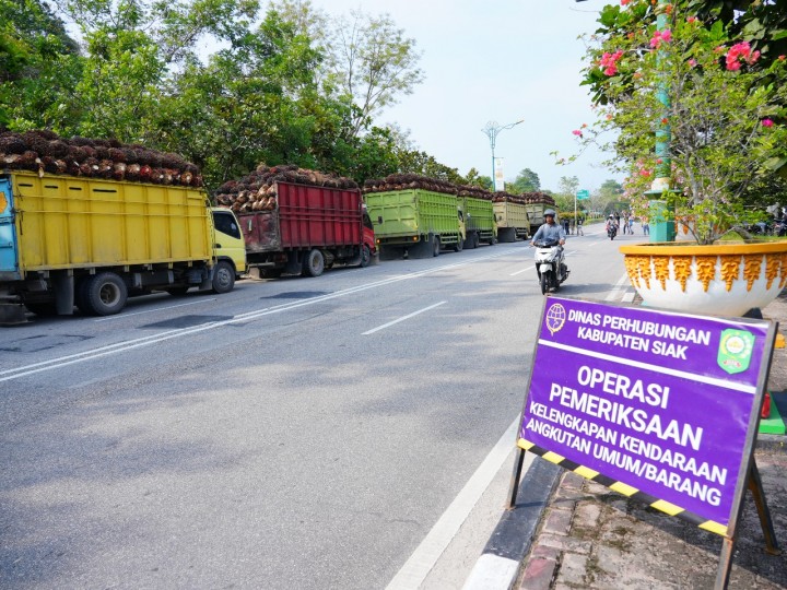 Dishub Siak Tertibkan Puluhan Truk Sawit ODOL dalam Operasi Penegakan Aturan