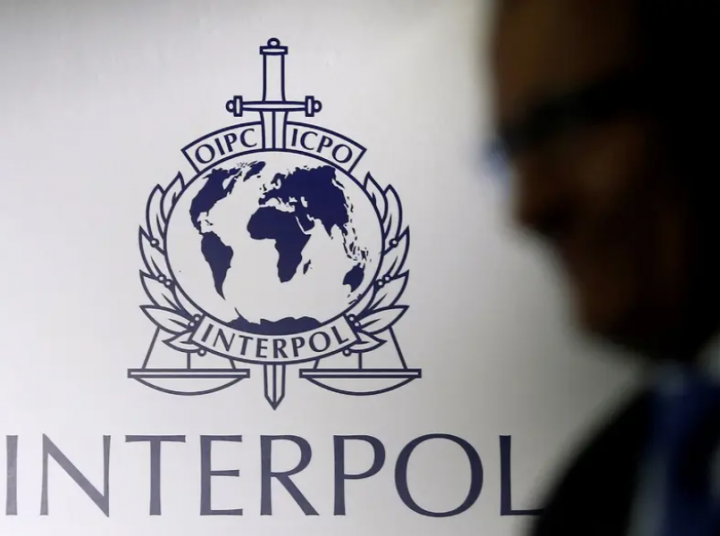 Interpol Pimpin Pemberantasan Kejahatan Siber, Tangkap Lebih dari 1.200 Orang di Afrika dan Sita 100 Juta Dolar