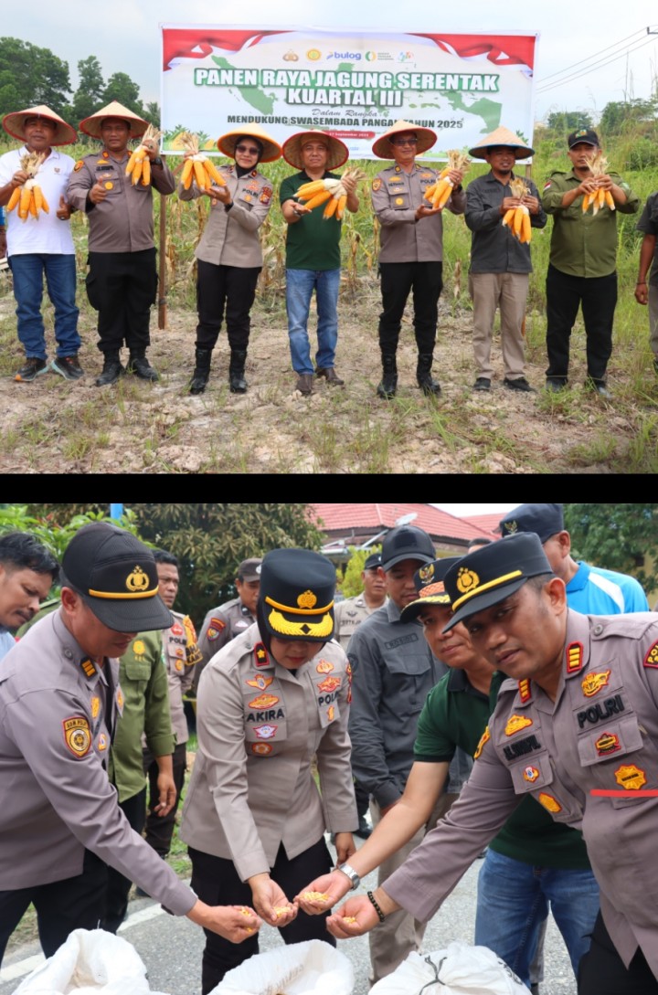 Polres Siak Panen Raya Jagung, Kapolri: Polri Dukung Ketahanan Pangan Nasional