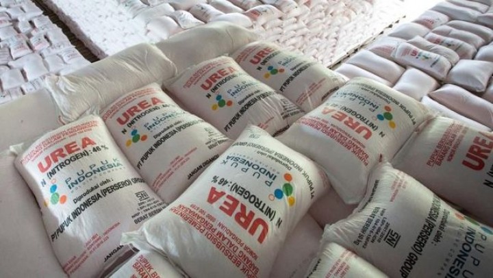 Cerita Pemerintah Pangkas Ratusan Regulasi Pupuk