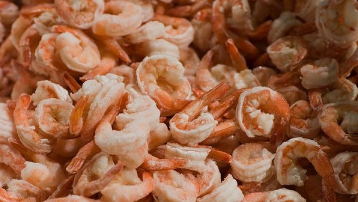 Udang