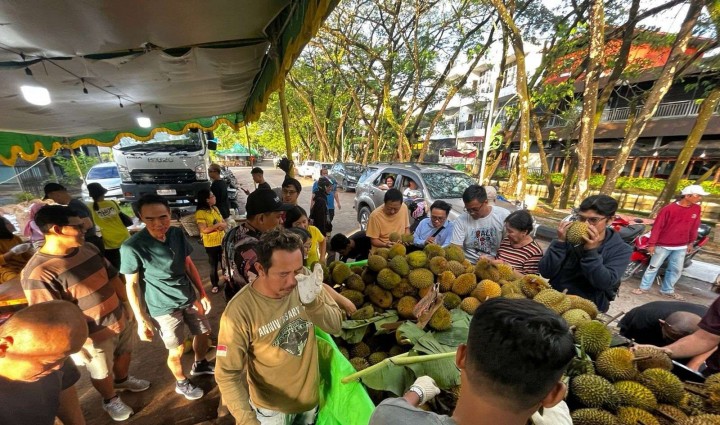 Petani Lokal Terancam, Durian Ilegal Marak Masuk ke Indonesia