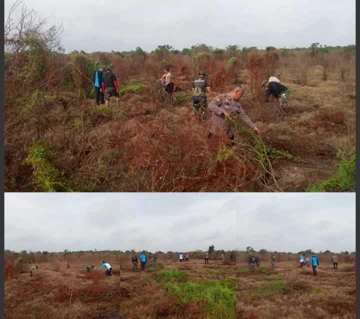 Satgas TMMD Kodim 0322/Siak Bersama Warga Bersihkan Lahan Pertanian: Wujud Nyata Kemanunggalan TNI dan Rakyat