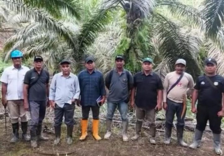 Region Head PTPN IV Regional 4 Tinjau Kebun Bukit Cermin: Konsistensi Monev Jadi Kunci Pencapaian Produksi