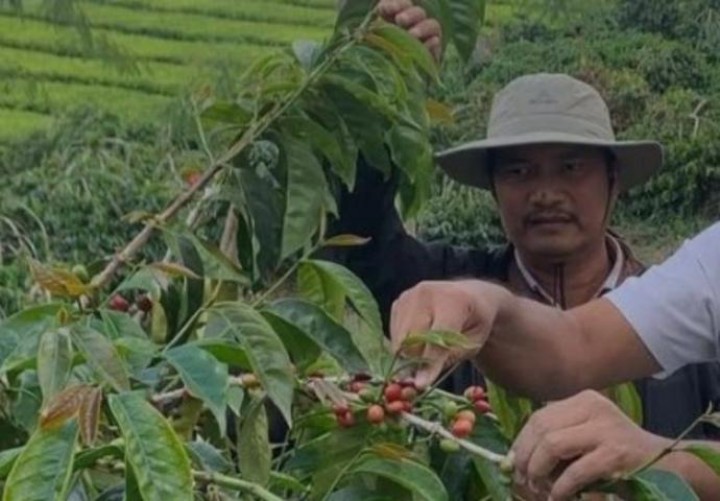 Transformasi Hijau, PTPN IV Regional 4 Manfaatkan Aset Bekas Rumah Sakit Jadi Pabrik Kopi Berkelas Ekspor
