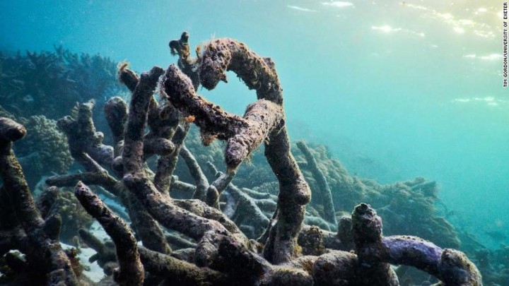 Tanda Krisis Iklim Serius Sudah Muncul, Ini Hasil Penelitiannya