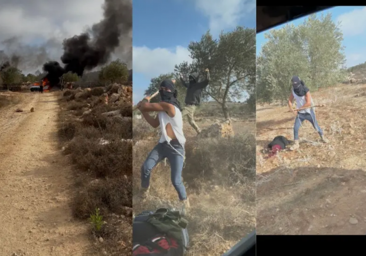 Pemukim Israel Secara Brutal Memukuli Seorang Wanita Palestina Hingga Pingsan dengan Tongkat Saat Panen Zaitun