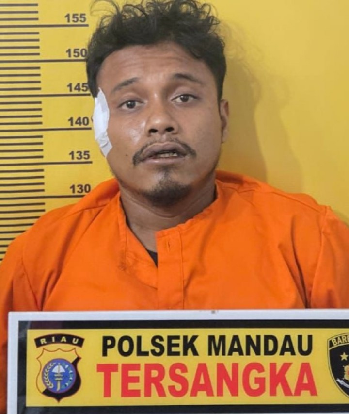 Setelah Todongkan Arit ke Leher Korban dan Setubuhi Korban, Warga Kabupaten Bengkalis Ditangkap