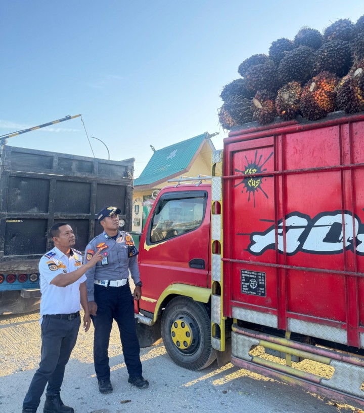 Dishub Siak Imbau Truk Sawit Tak Melintas Saat Jam Sekolah: Demi Keselamatan Pelajar dan Ketahanan Jalan