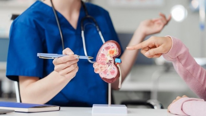 Hati-Hati, Hasil Studi Menunjukkan Ini Penyebab Penyakit Gagal Ginjal di Usia Muda