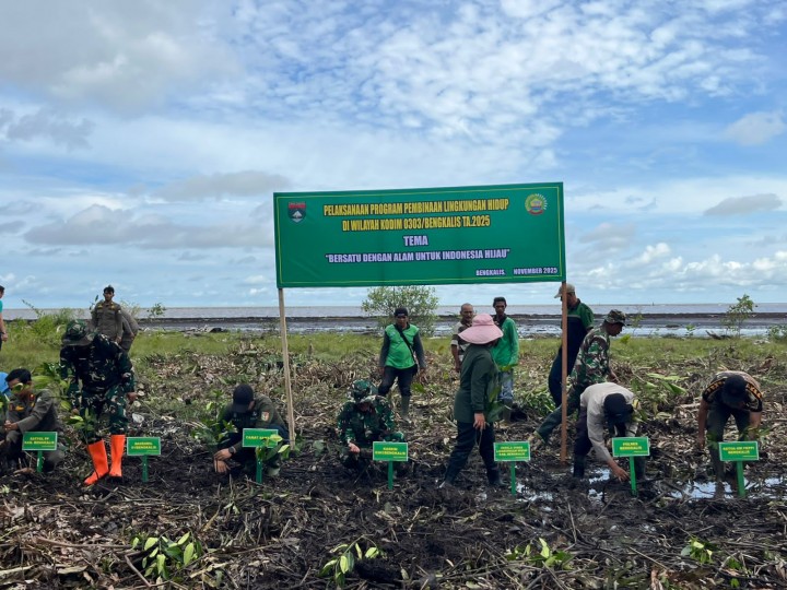 Kasdim 0303 Bengkalis Tanam 1.500 Bibit Mangrove